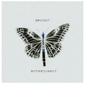 Butterfly Effect (Explicit)