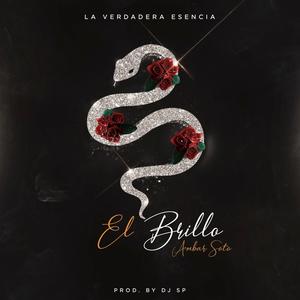 El Brillo