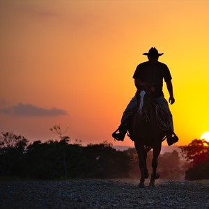 Cowboys Keep Riding(feat. Melissa Duvall)