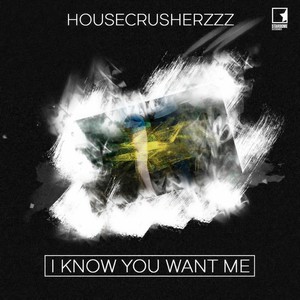 I Know You Want Me (Radio Edit)
