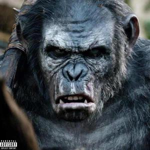 Ape Shii (Explicit)