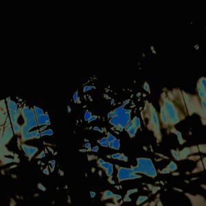 harvest (Explicit)