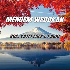 Mendem Wedokan