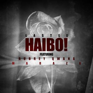 HAIBO (feat. Aubrey Qwana & MarazA)