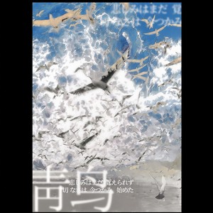 青鸟 (弹唱版)封面