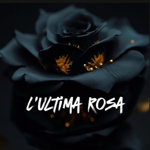 L’ultima rosa