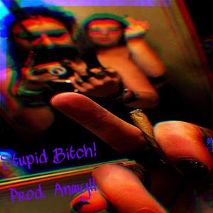 Stupid *****! (Explicit)