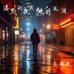漆黑的夜我独自流泪封面
