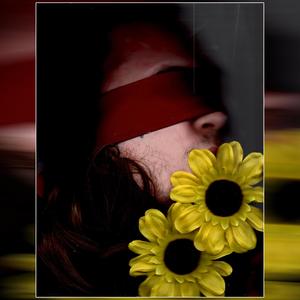 Kenshi! (feat. Zac Flewids) (Explicit)