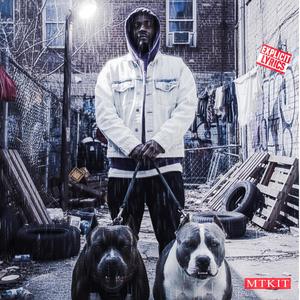 Pitbull Vicious (Explicit)