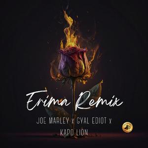 ERIMA REMIX. (feat. GYAL EDIOT & KAPO LION) (Radio Edit)