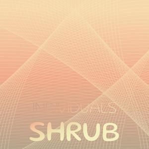 Individuals Shrub