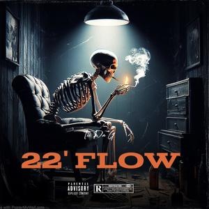 22' Flow