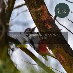 Eurasian Winter Wren