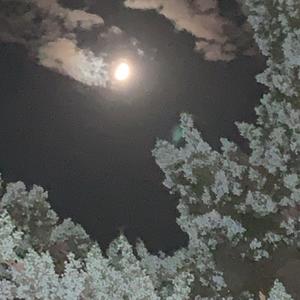 Strangers (feat. CRCL) (Explicit)