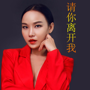 请你彻底离开我 (电音版)