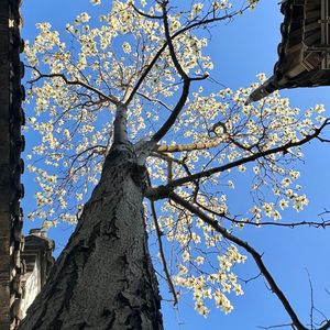 时间没能让人遗忘