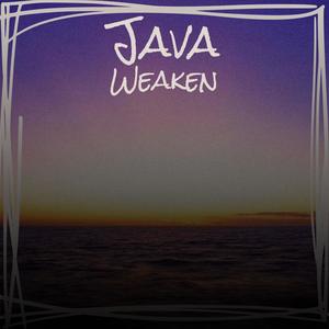 Java Weaken