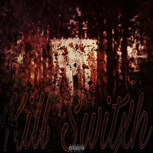 Kill Switxh (feat. Polo Shine) [Explicit]