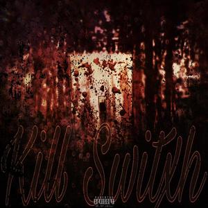 Kill Switxh (feat. Polo Shine) (Explicit)