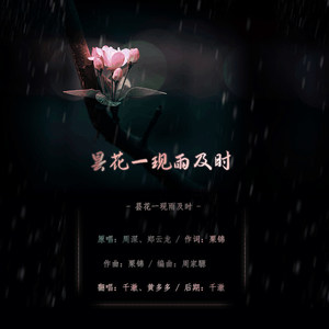 昙花一现雨及时