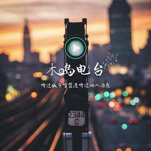 以后，你的世界没有我了，你一定要幸福 (DJ长音频)封面