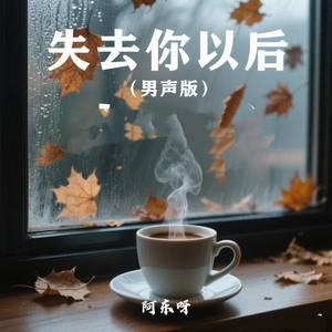 失去你以后 (男声版)