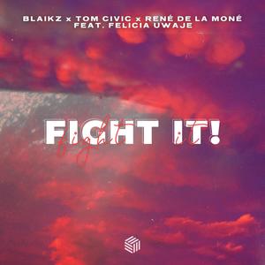 Fight it! (VIP Extended Mix)