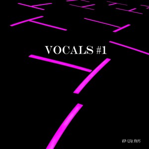 Show Me How Good (Arduini & Pagany Electric Funk Vocal)