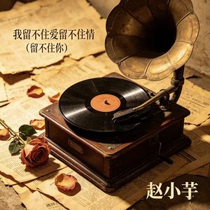 我留不住爱留不住情（留不住你）