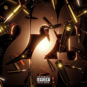 223 (Explicit)