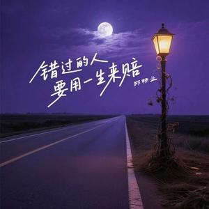 错过的人要用一生来赔