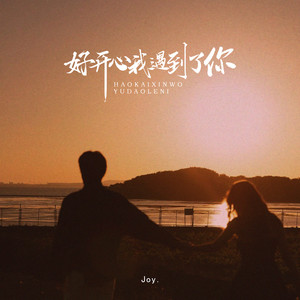 好开心我遇到了你 (Hate Me Remix)