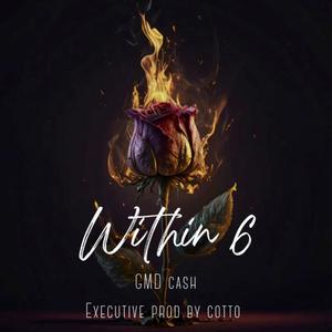 Within 6 (Explicit)