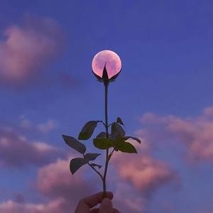 鸟之诗 (长笛版)