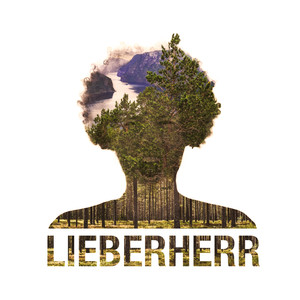 Lieberherr