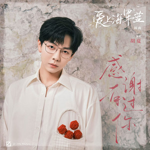 胡夏 - 感谢有过你