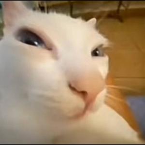 VALENTINA V2! (feat. Pdkayy) (Explicit)