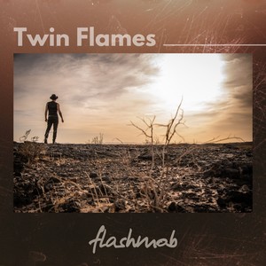 Twin Flames (Radio Edit)