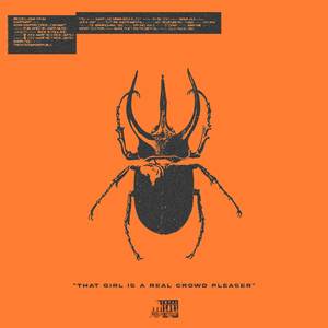 Beetles (Teddy Good Flip)