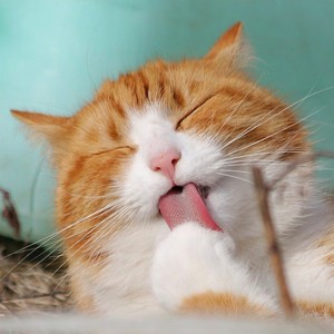 心愿便利贴-无敌超能力