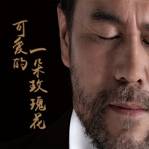 可爱的一朵玫瑰花