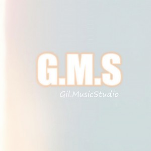 半颗心 (吉他伴奏DEMO)