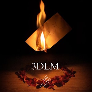 3DLM