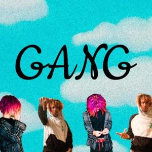 GANG (feat. killzerimar) (Explicit)