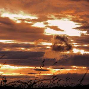 White Doves(feat. CFred9)