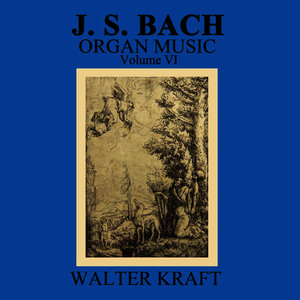 Bach: Organ Music, Vol. VI
