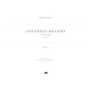 5 Studien, Anh.1a/1 - 5. Chaconne (Arr. for Piano after Bach's Violin Partita No. 2 in D Minor, BWV 1004)