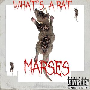 Whats A Rat (Explicit)