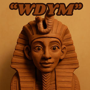 WDYM